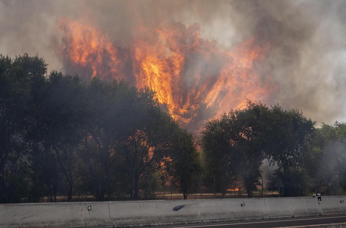 Francia e Spagna in ginocchio per gli incendi, Macron schiera l'esercito - 