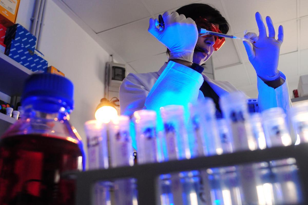 Storia genetica di un superbatterio killer, così l'Acinetobacter baumannii è diventato invulnerabile - 