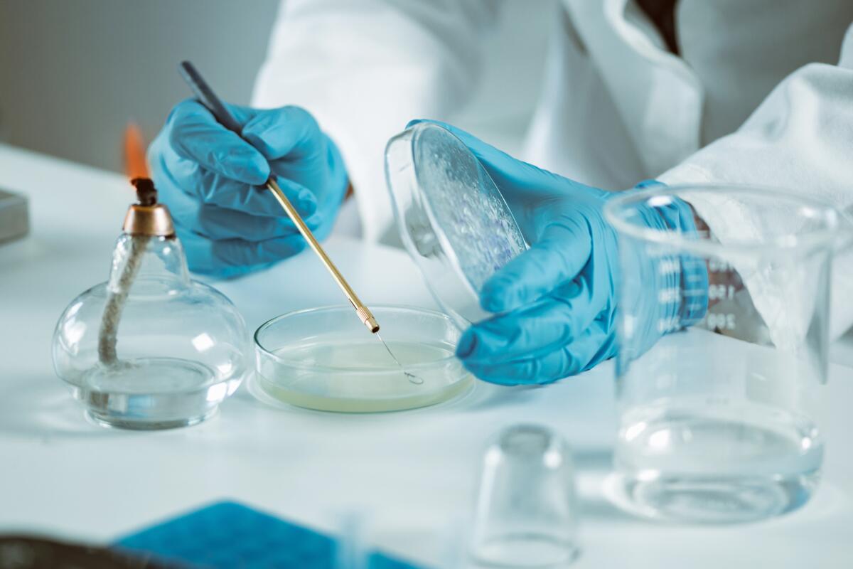 Linfoma mantellare, 'con trattamento chemio-free in prima linea -43% rischio di progressione o morte' - 
