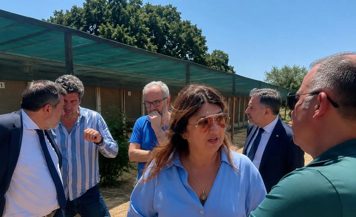 Tutela del benessere animale e contrasto al randagismo, l’assessore Straface avvia il tour istituzionale nei canili calabresi - 