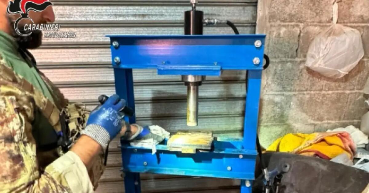 Scoperta nell’Aspromonte una base clandestina per la lavorazione della cocaina / Video - 
