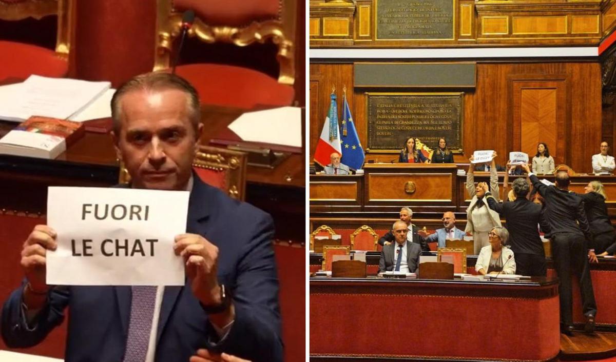 Caso Delmastro, Giunta Camera dice no a richiesta Procura sulle chat. M5S occupa banchi del governo in Senato - Video - 