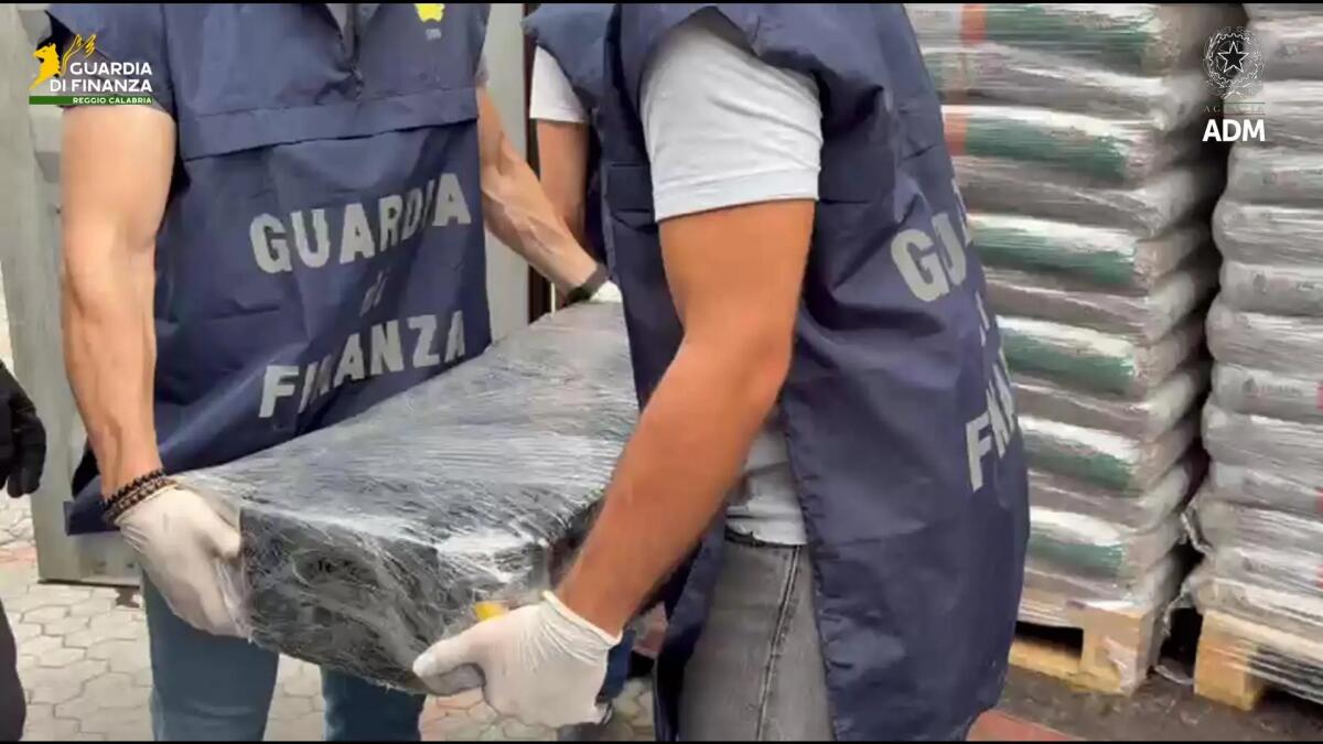 Maxi sequestro di 113 kg di cocaina proveniente dal Sud America al porto di Gioia Tauro - 
