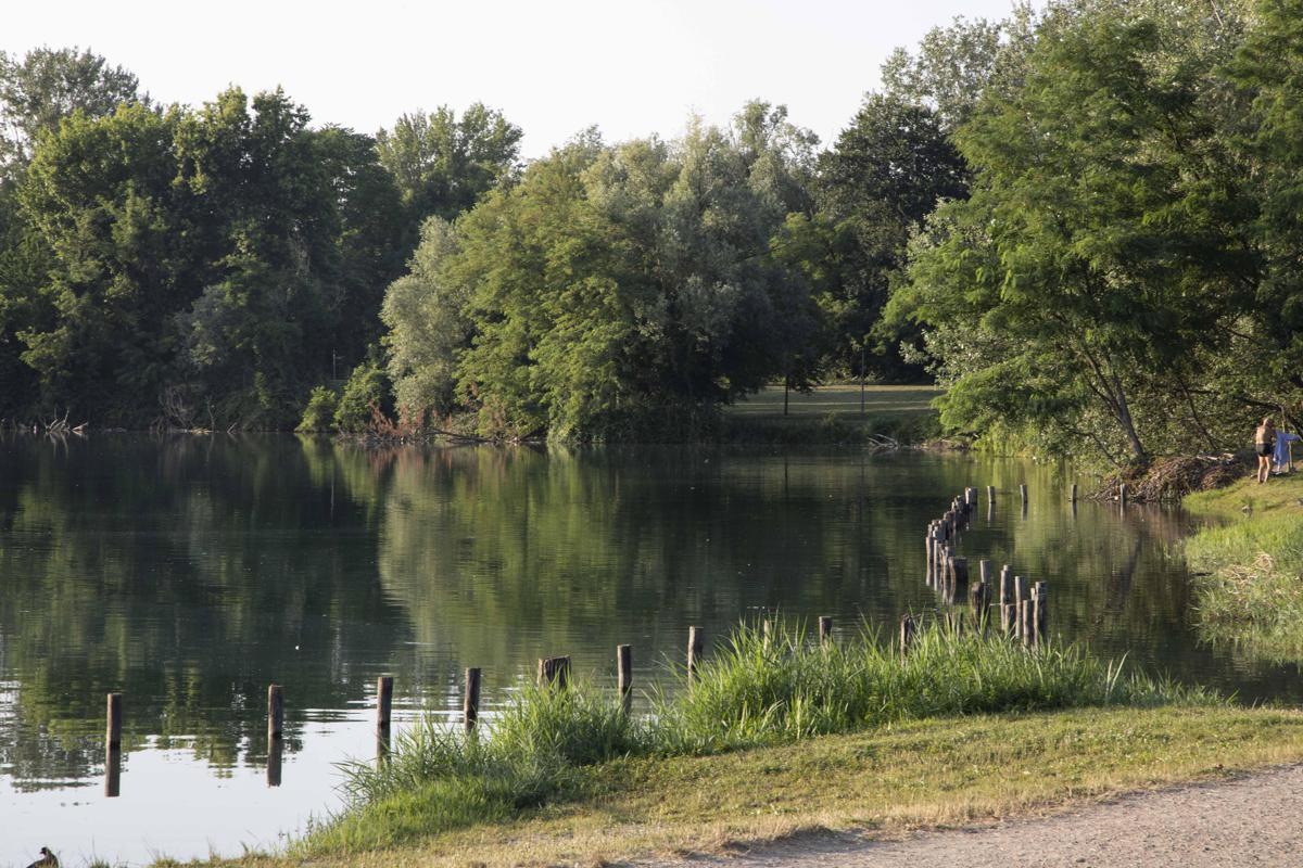 Milano, violentata mentre fa jogging al parco: si salva mordendo l'aggressore, arrestato 26enne - 