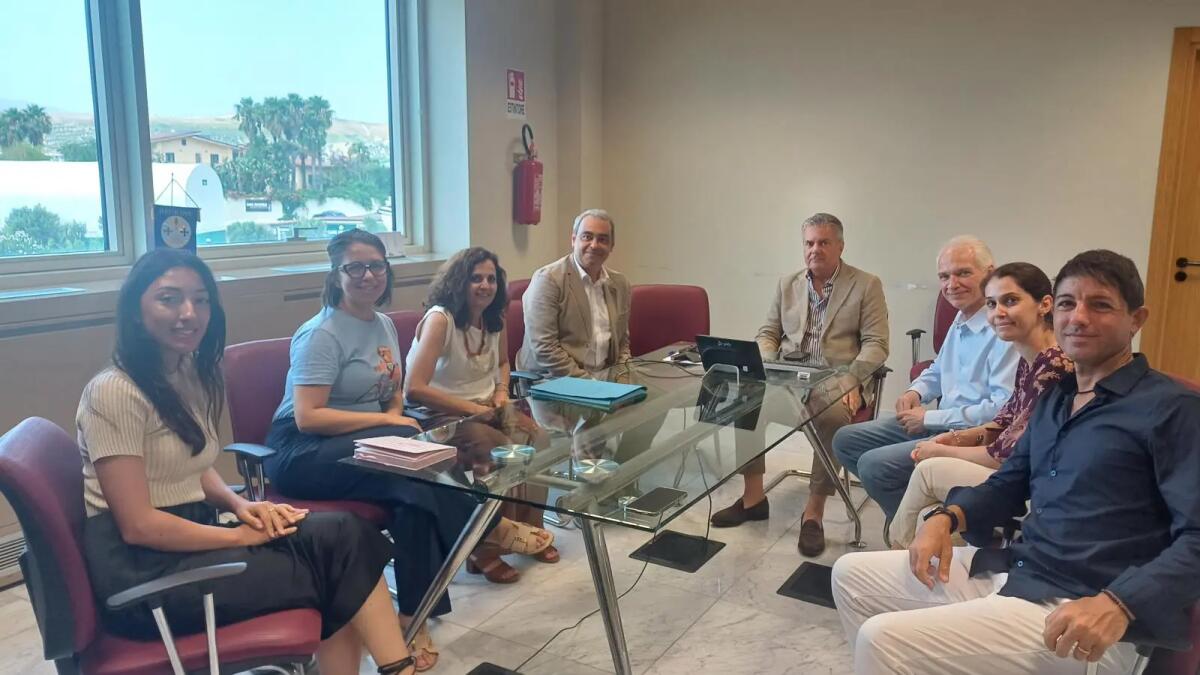 Rischio idrogeologico in Calabria, incontro Regione-Università-Autorità di bacino - 