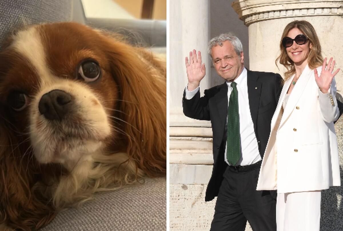 Fagnani e Mentana, addio alla cagnolina Bice: "Il dolore è profondo" - 