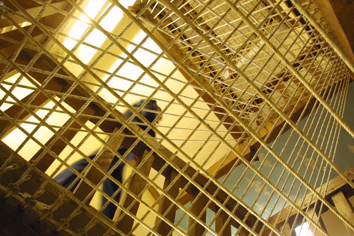 Rivolta nel carcere di Enna, oltre 100 detenuti occupano parte del vecchio padiglione - 