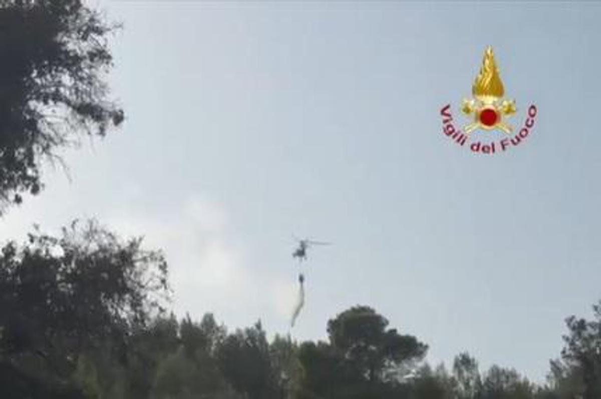 Incendi sul Gargano, fiamme domate. Sindaco di Peschici: "Turisti rientrati nelle strutture" - 