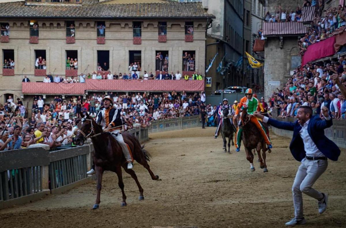 Palio di Siena oggi, orario e dove vederlo (in diretta): contrade, cavalli e fantini - 