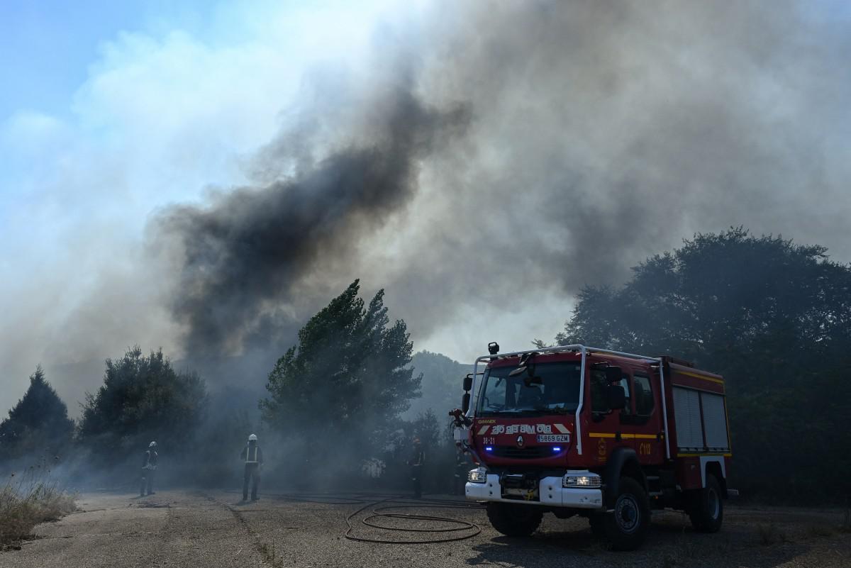 Spagna, 12 persone morte a causa di un incendio nel sud-est: alcune vittime trovate nelle auto - 