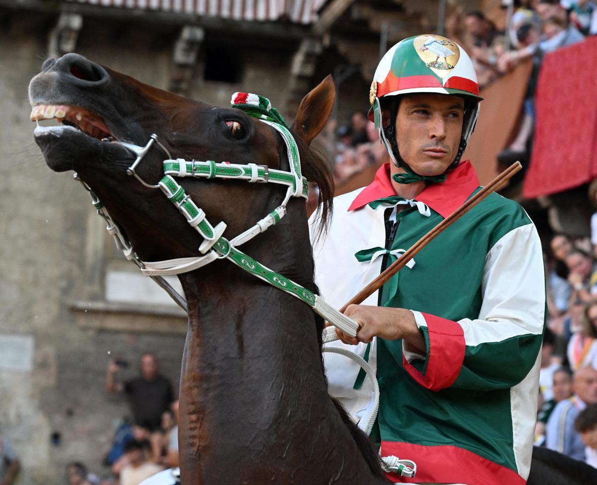 Aquila vince il Palio di Siena, Tittia fa 12: chi è il fantino dei record - 