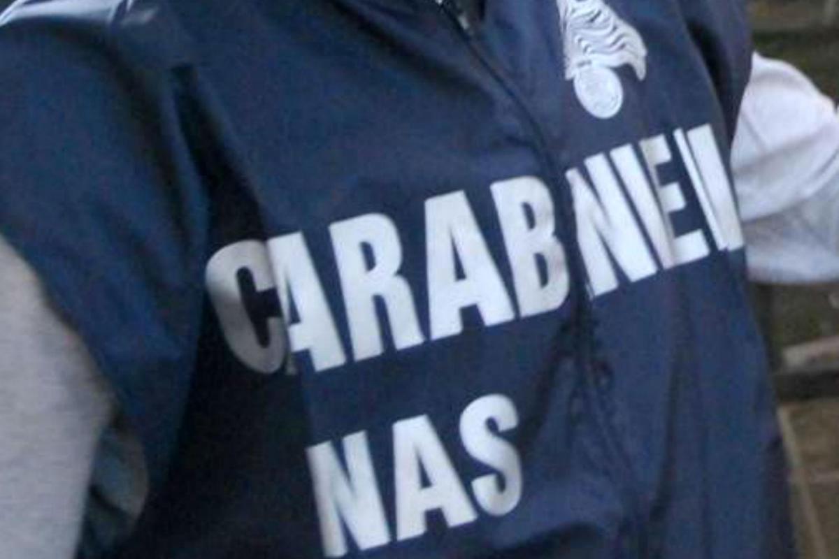 Brescia, neonato circonciso su tavolo da cucina in casa: denunciato cardiologo - 