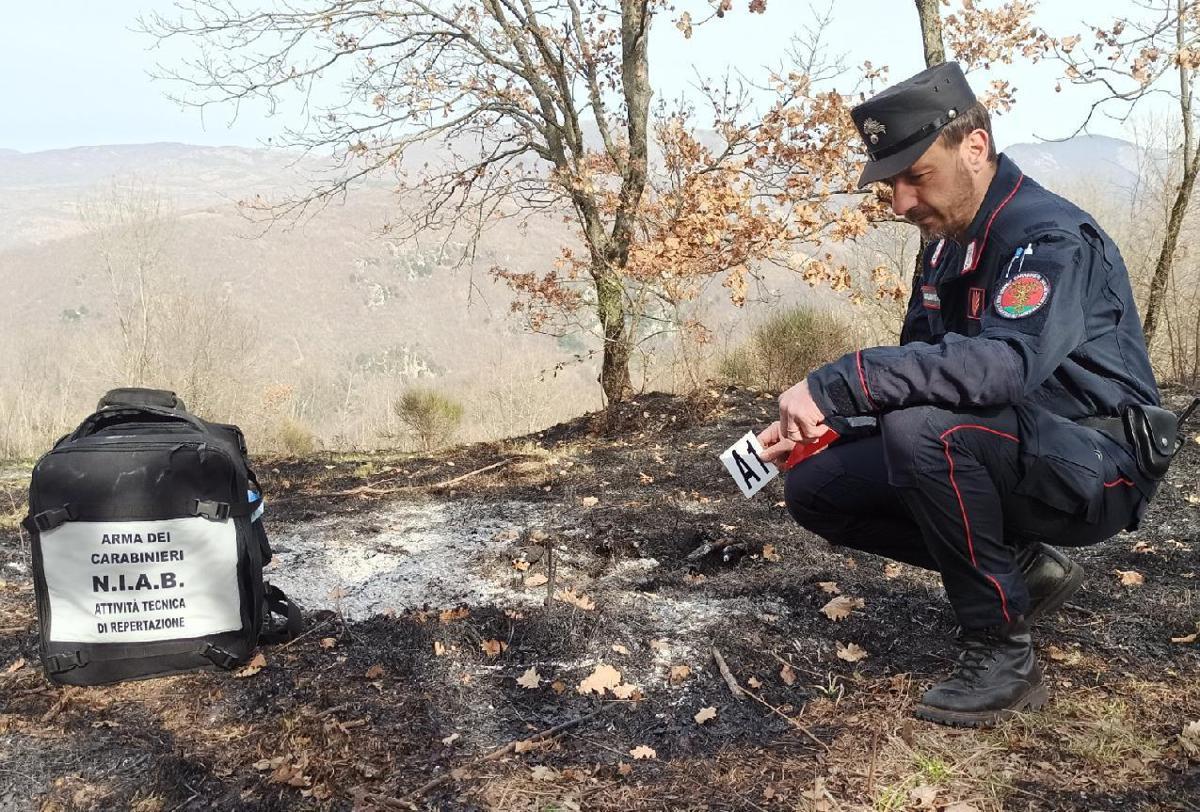 Incendi, Carabinieri Forestali: "98% causati dall'uomo, in primi 6 mesi 3800 ettari bruciati" - 
