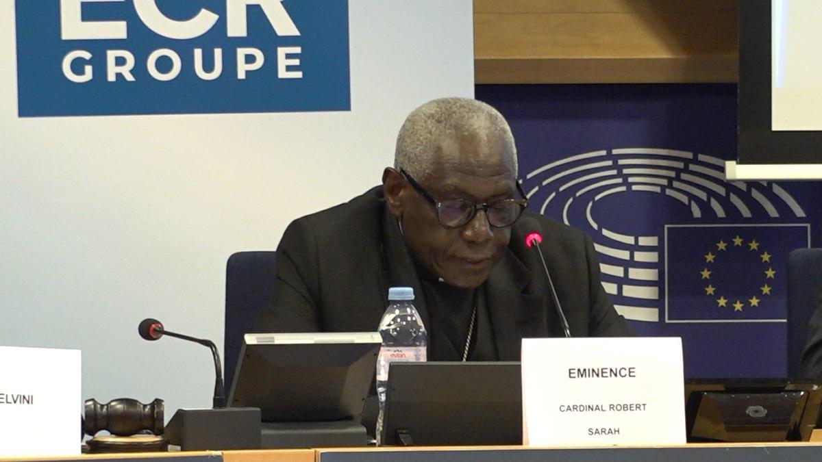 Ue, card. Sarah: "No a colonizzazione ideologica Africa, ma sussidiarietà autentica" - 