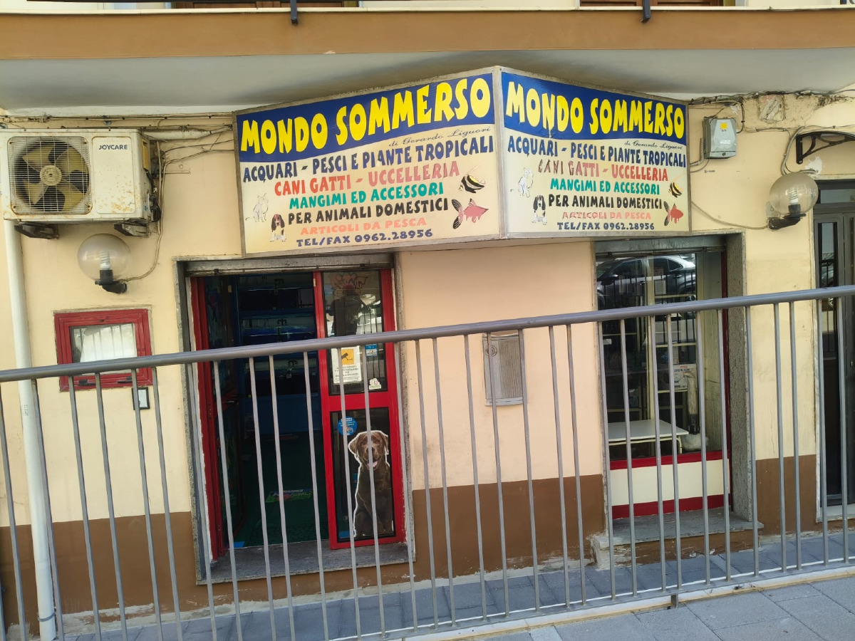 Mondo Sommerso (Gerardo Liguori 8.7.2026)