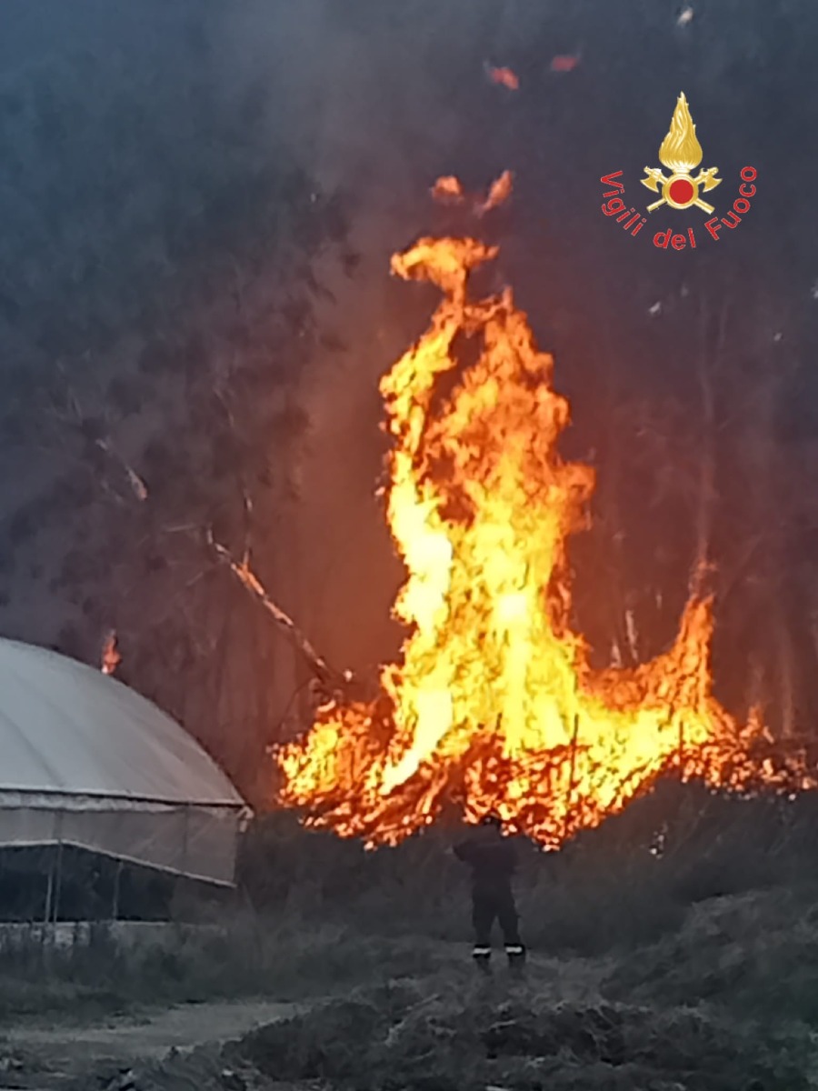 Incendio Curinga - Foto Uff. Stampa Vigili del Fuoco 19.07.2026