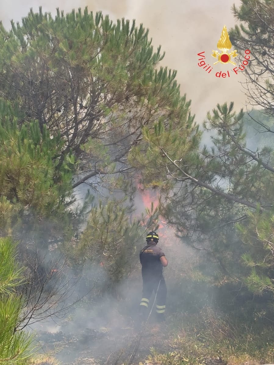 Incendio Curinga - Foto Uff. Stampa Vigili del Fuoco 19.07.2026