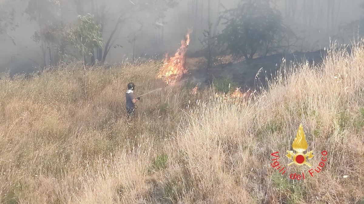 Incendio Lamezia Terme - Foto Uff. Stampa Vigili del fuoco  20.07.2026