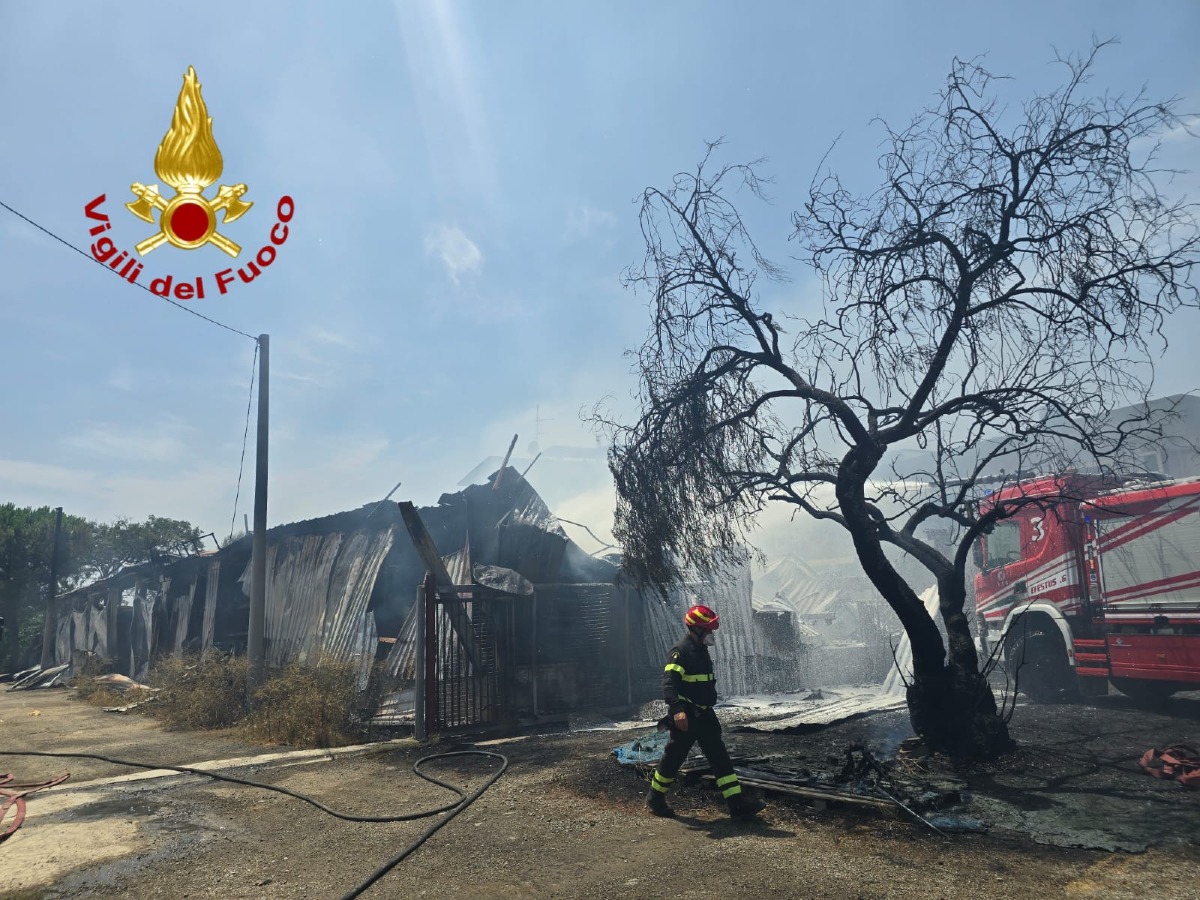 Incendio Margherita - Foto Uff. Stampa Vigili del fuoco 26.07.2026