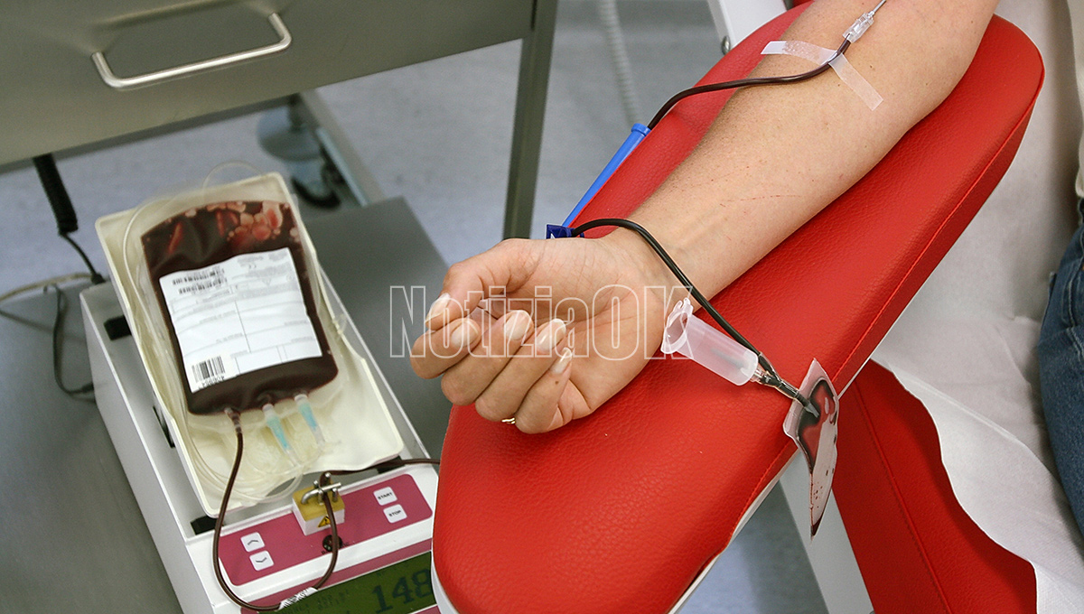 Raccolta di sangue a Crotone, l'appello dell'Avis ai cittadini - Foto: Redazione