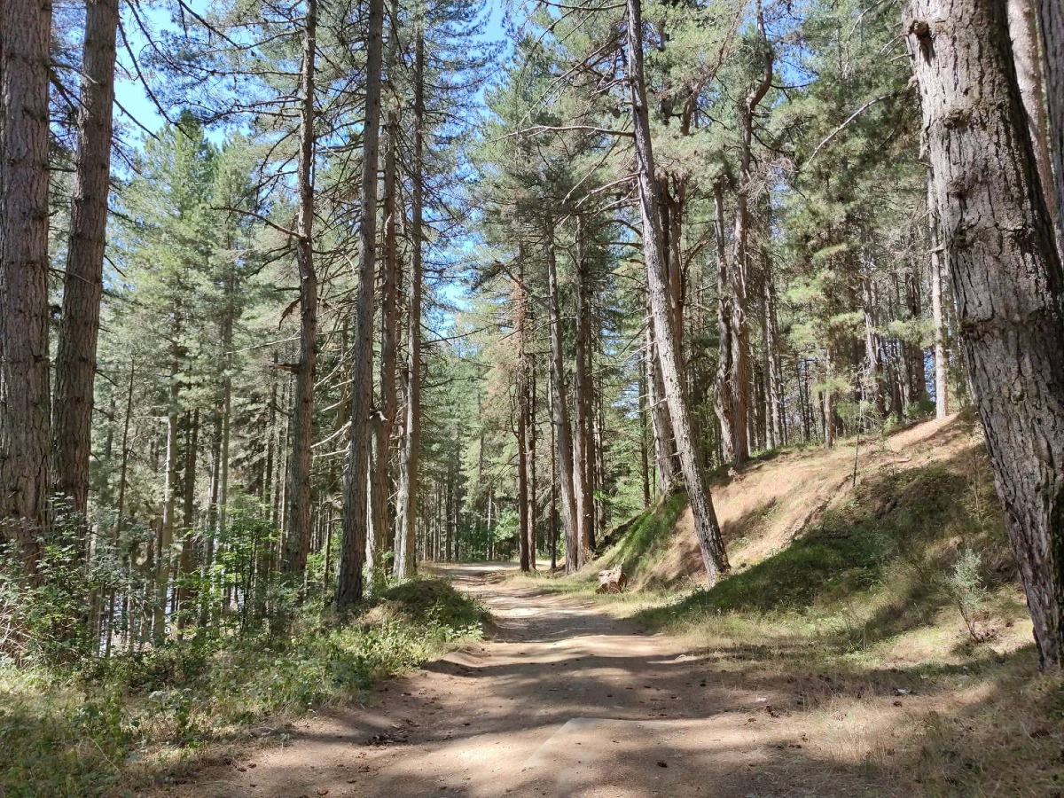 Parco della Sila, la Valle del Crocchio diventa “Luogo del Belsentire” - Foto: Redazione 