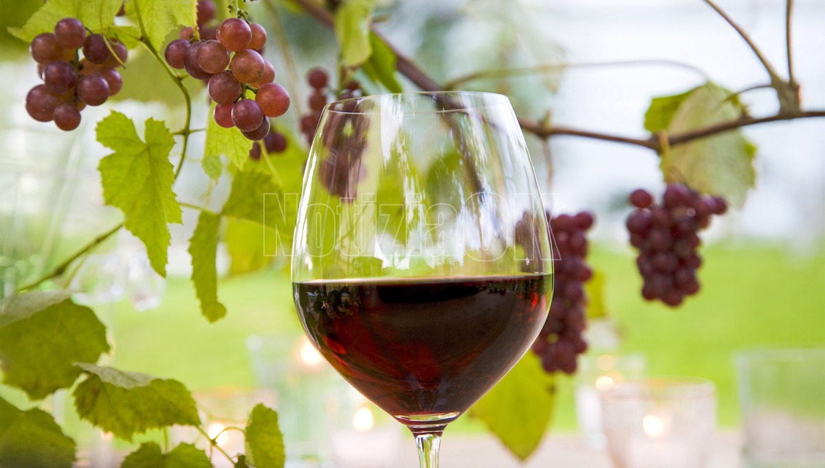 Cosenza entra nell’Associazione Nazionale Città del Vino - Foto: Redazione 