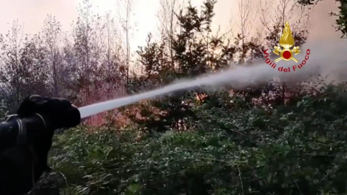 Incendio lungo l'A2 a Firmo, autostrada chiusa in entrambe le direzioni - Foto Uff. Stampa Vigili del fuoco
