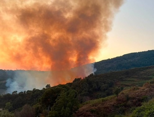 Incendio a Gizzeria, il sindaco Argento: “Difeso il nostro territorio” - Foto: Uff. Stampa Comune di Gizzeria