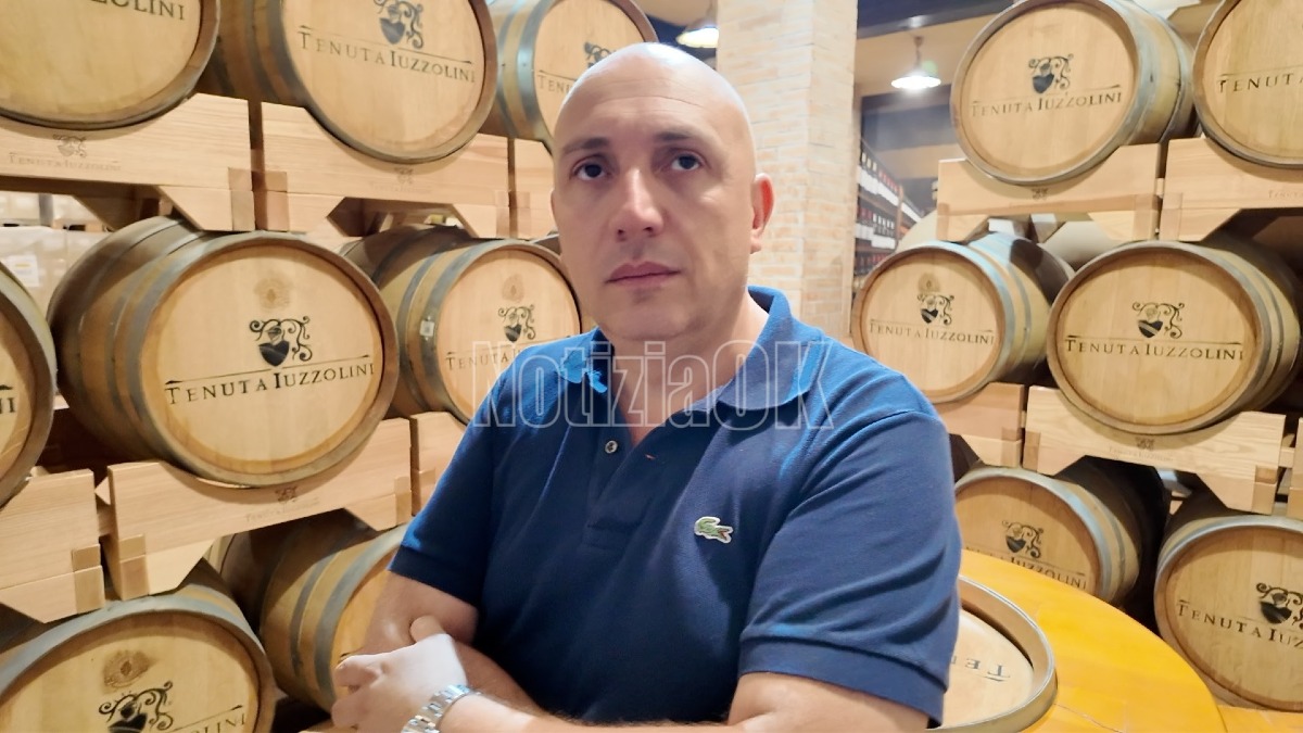 (VIDEO) Tenuta Iuzzolini, il vino diventa un viaggio tra storia e innovazione - Foto: Redazione 