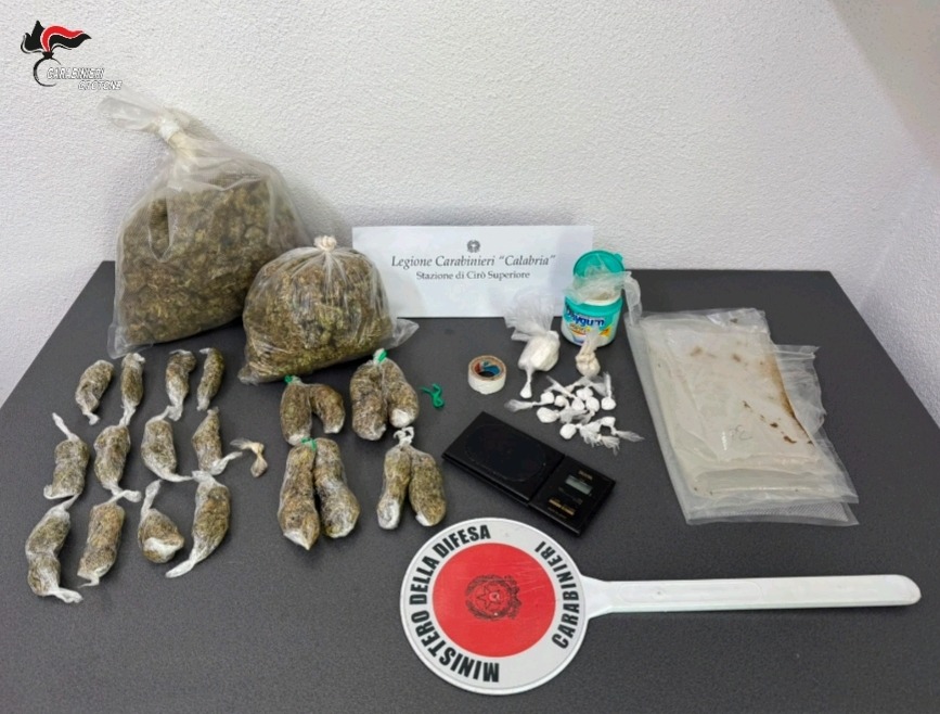 Cirò, droga nascosta in un immobile abbandonato: sequestrata - Foto: Uff. Stampa Comando dei Carabinieri di Cirò 
