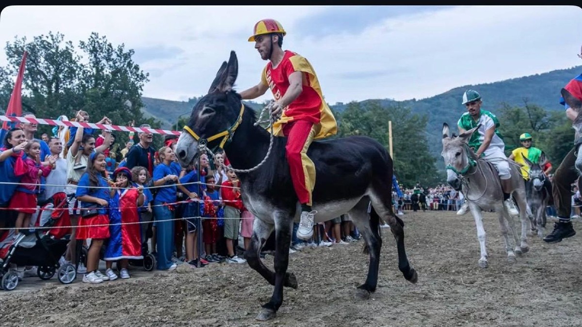 Laino Borgo, San Biasu vince il Palio cu i ciucci 2026