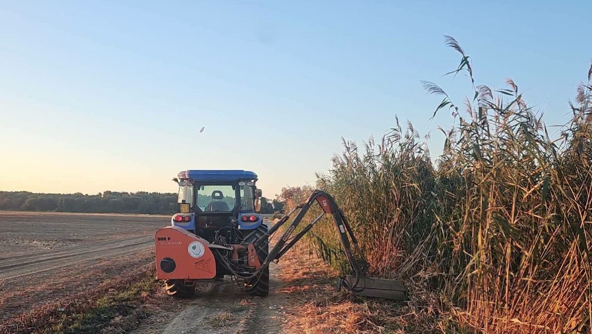 Consorzio di Bonifica della Calabria, al via gli interventi di pulizia del reticolo idrografico - Foto: Uff. Stampa Consorzio di Bonifica  della Calabria 