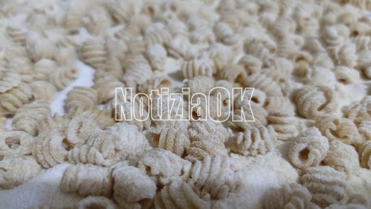 Sagra del Covatello, due serate tra gusto, musica e tradizione a Rocca di Neto - Foto: Redazione 