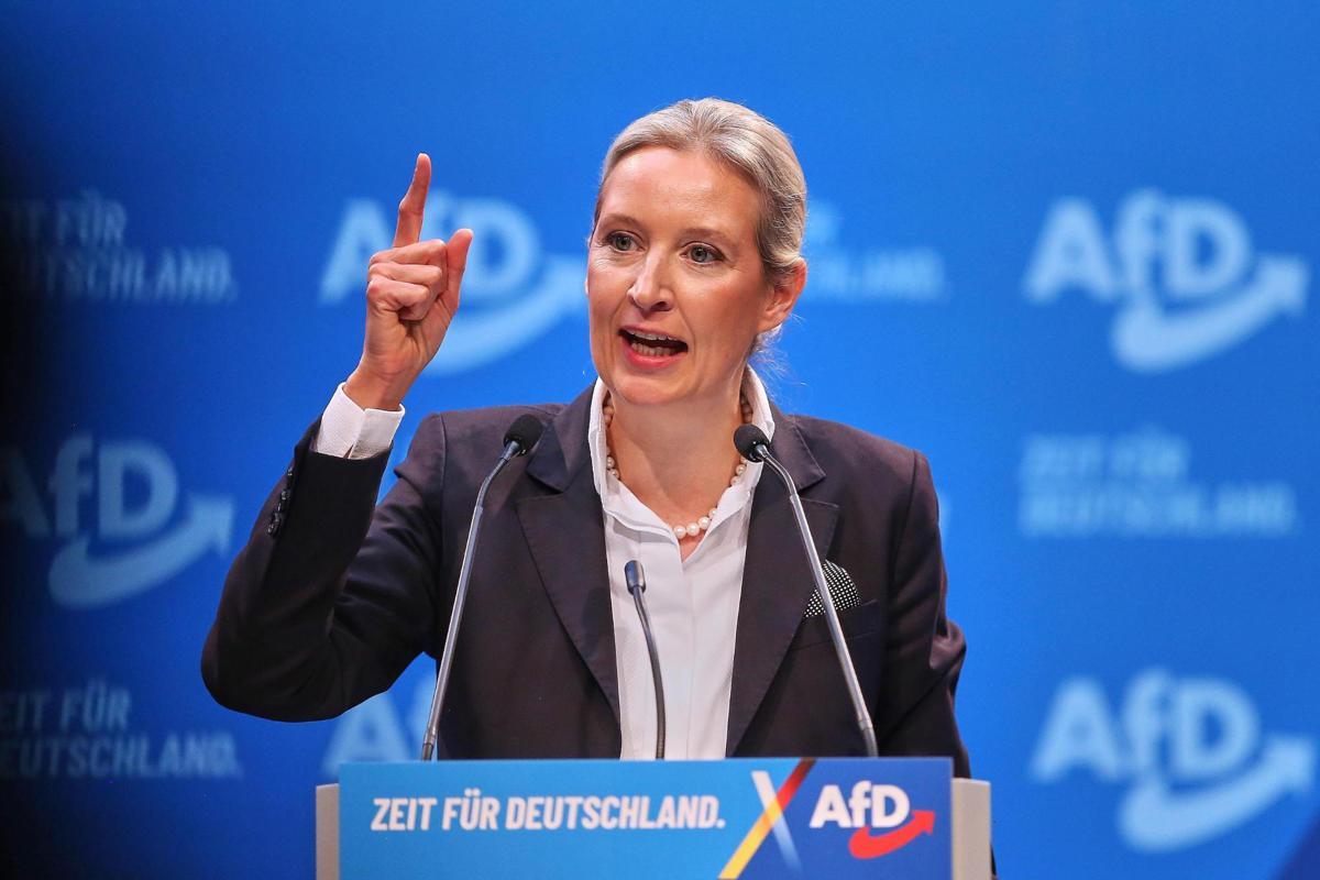 AfD vuole la Germania fuori dall'euro: "E usciremo da Schengen" - 