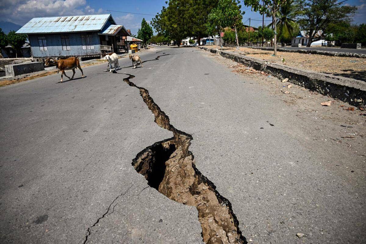 Terremoto in Indonesia, nuova scossa di magnitudo 5.6: continua l'emergenza - 