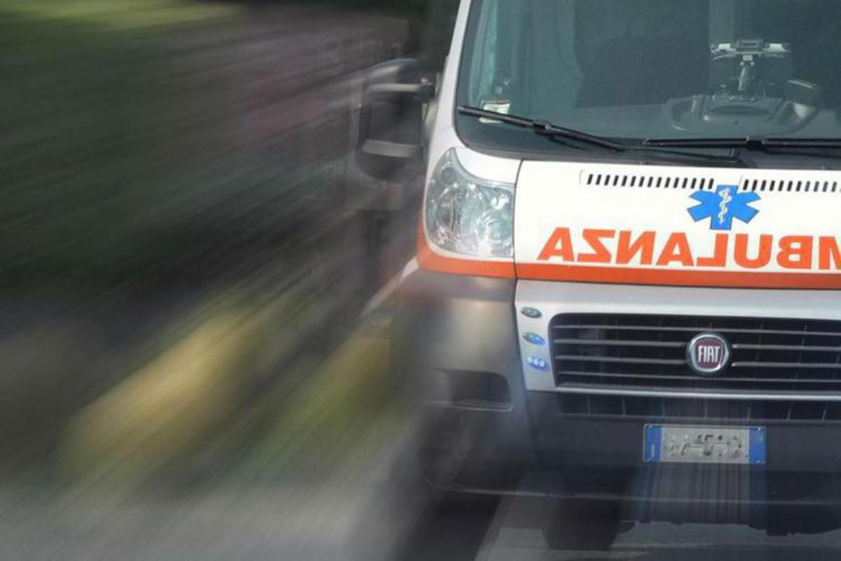 Udine, auto finisce contro un platano: muore una bambina di 11 anni, grave la sorellina - 