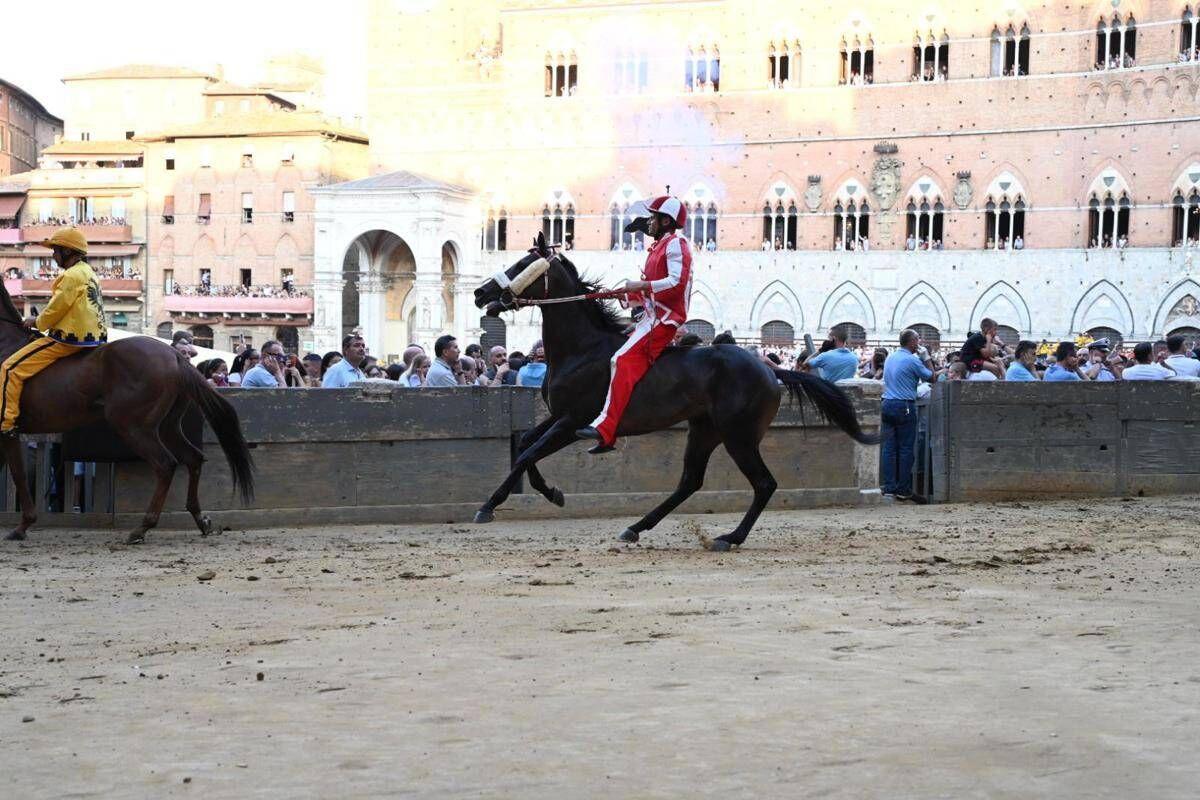 Palio Siena, la Contrada della Giraffa vince la terza prova - 