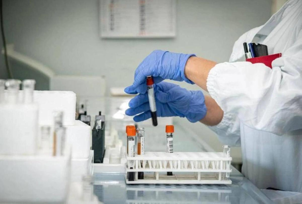 West Nile, il virus arriva anche a Lecce. La Asl: "Accertati due casi, un ricovero in rianimazione" - 