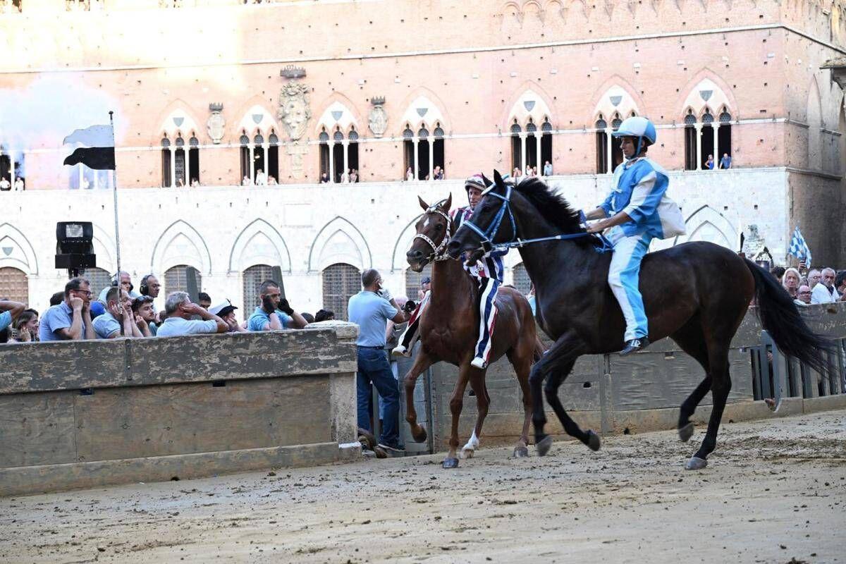 Palio di Siena, la Contrada dell'Onda vince la prima prova - 