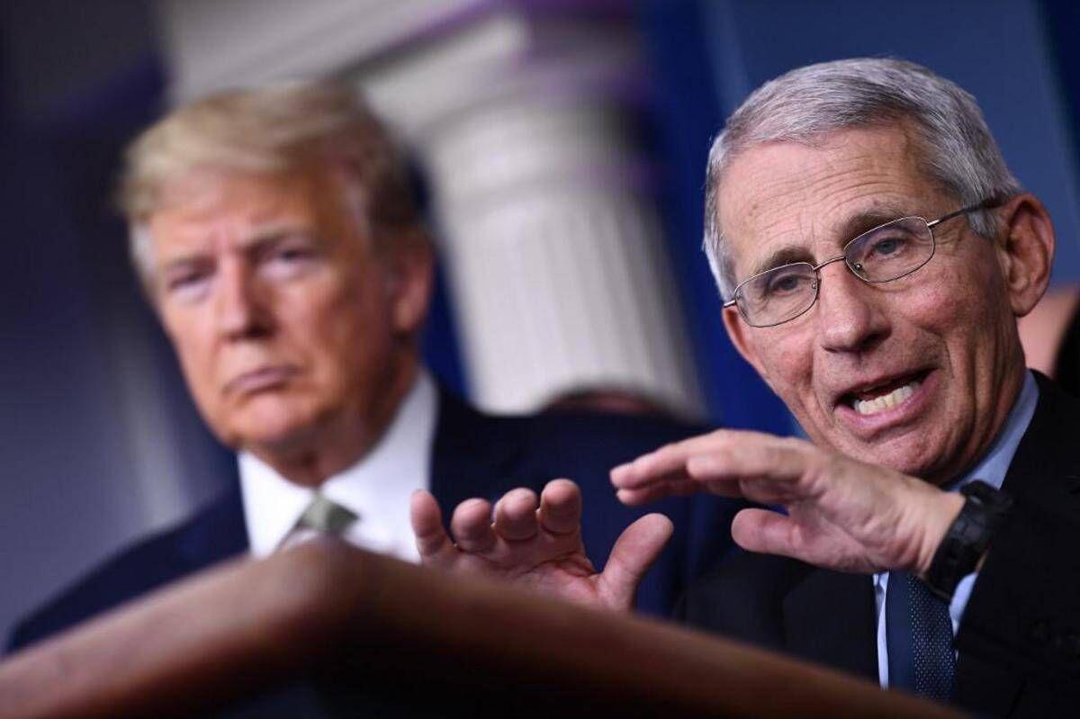 Trump: "Favorevole a eventuale incriminazione di Fauci" - 
