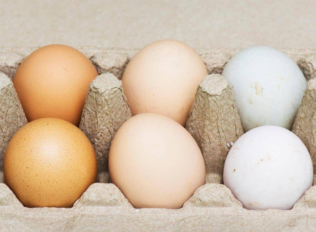 Uova bianche o marroni, quali sono migliori? Ecco cosa dice la scienza - 