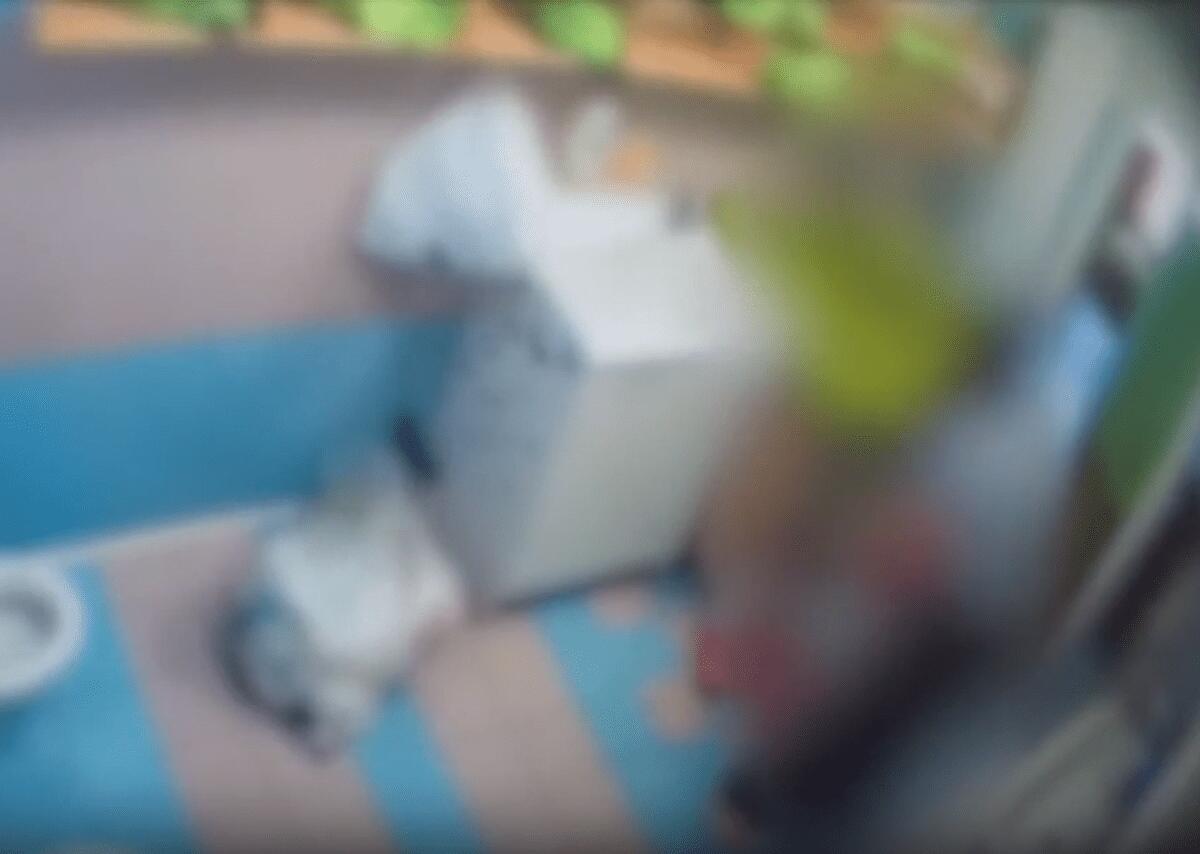 Due maestre d'asilo arrestate per maltrattamenti, altre 2 denunciate a Monza: lasciavano i bimbi incustoditi e senza cibo - 