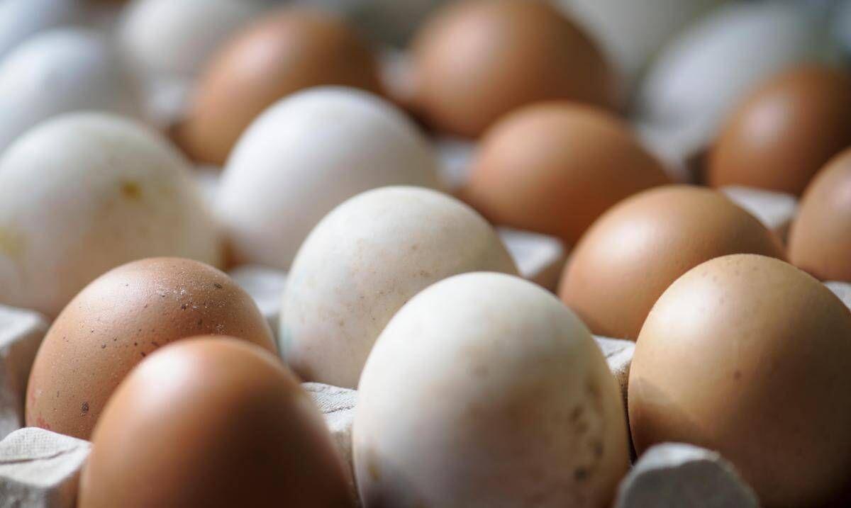 Epidemia di salmonella nel Regno Unito, 1 morto e oltre 200 casi: "Colpa delle uova importate" - 