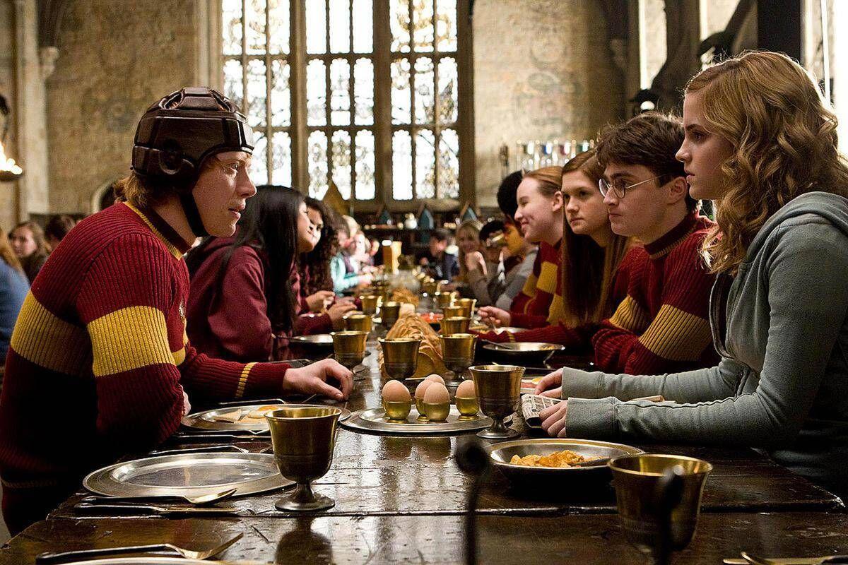 Harry Potter, la protesta dei fan: spostato il cavo sottomarino per la 'tomba' di Dobby - 