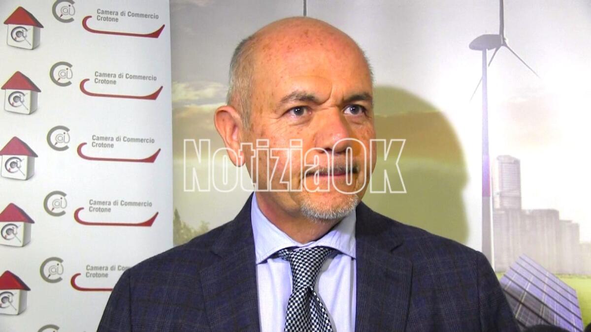 Botricello, il rettore Cuda elogia il gesto della professoressa Aquila - Giovanni Cuda, Rettore dell'Università Magna Grecia di Catanzaro