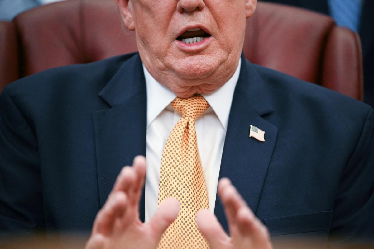 Trump: "L'erba è come gli esseri umani, ha una vita" - 