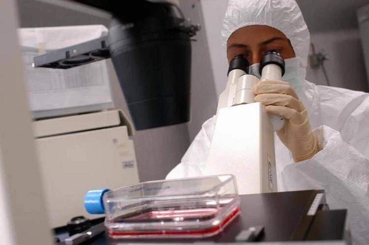 Florida, cresce l'allarme per il batterio mangiacarne: c'è una seconda vittima - 