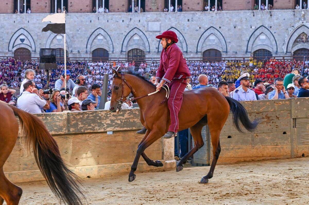 Palio Siena, la Contrada della Torre vince la quarta prova - 