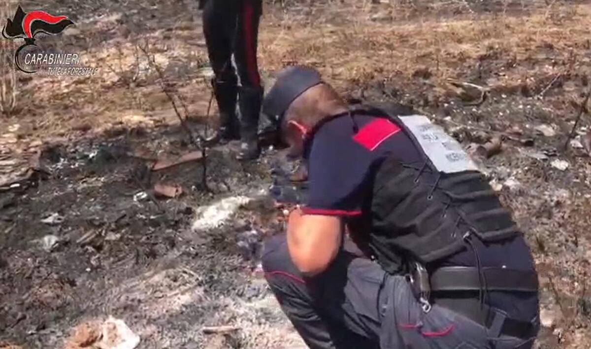 Appicca il fuoco nei pressi di un bosco a Morano Calabro, arrestato un 56enne - 