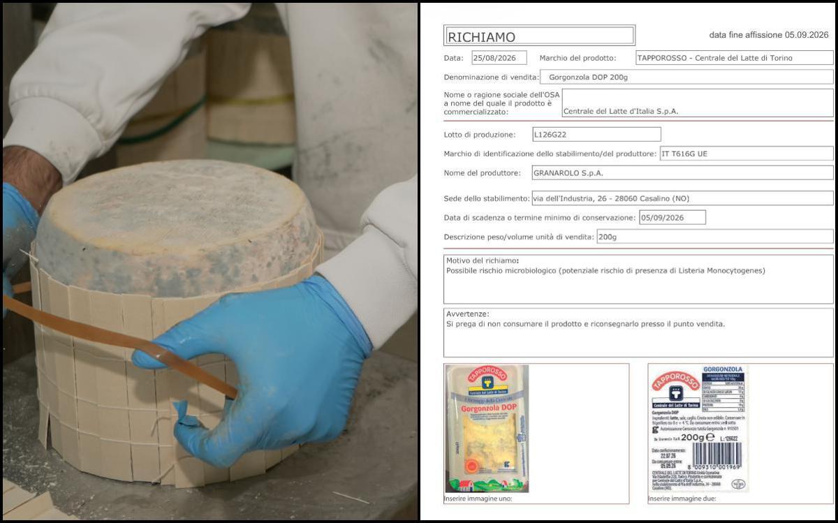 Gorgonzola richiamato dai supermercati per possibile Listeria: cosa sapere (e il lotto da evitare) - 